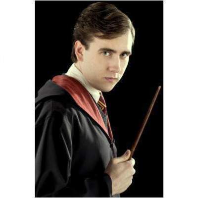 BAGUETTE COLLECTOR NEVILLE LONDUBAT La Boutique du Sorcier - Wizard Shop